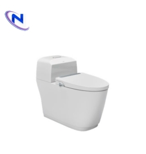 Bàn cầu kết hợp nắp rửa điện tử AC-1032+CW-S32VN